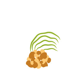 sea life algae and stones illustration isolated