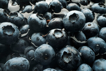Ripe blueberries, macro photography. Fresh and appetizing berries are ideal for culinary projects, promotional materials and design.
