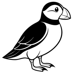simple line art of a puffin Vector Design and illustration