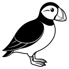 black and white bird simple line art of a puffin Vector Design and illustration