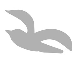 Silhouettes of birds