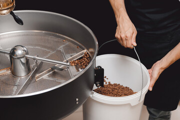 Worker or barista pouring out brown coffee beans in roasting machine, process making and production