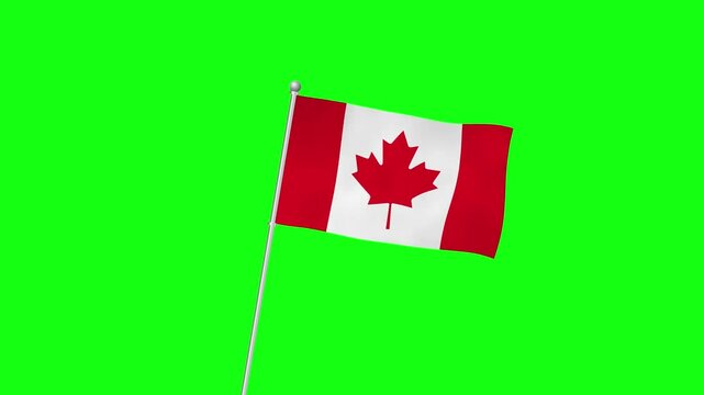 4K CANADA flag with pole waving on chroma key green screen