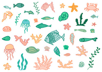 Set of marine hand drawn elements on white background. Vector illustration. Doodle style. Sea world. Cute underwater seashells, starfish, jellyfish, coral reef inhabitants in natural habitat.