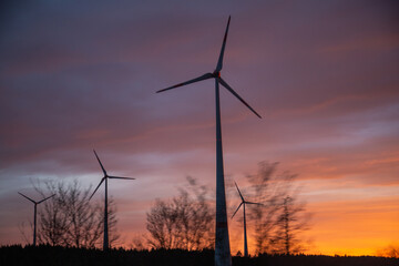 Obraz premium Windräder im Abendrot vor dramatischem Sonnenuntergang