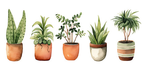 Cute minimalistic watercolor painted plants in pots.