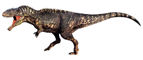 3D Rendering Dinosaur Gigantosaurus on White