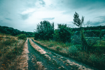 dirt road nea field with tall green grass and different flowers on it, leading to a dark green forest, against the backdrop of a blue sky with stormy gloomy clouds