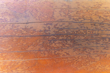 Rusty Metal Texture on Old Grungy Wall