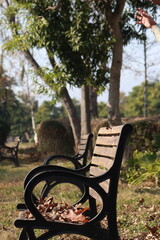 bench in autumn park