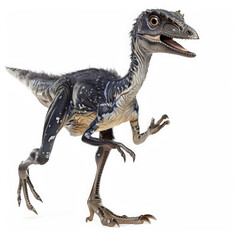 Fototapeta premium A dynamic scene of a Troodon with its small size and agile build, appearing ready to hunt, isolated on white background.