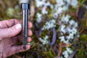 scientist taking a soil, fungi, plant, leaf sample in a test tube in the australian bush. forest...