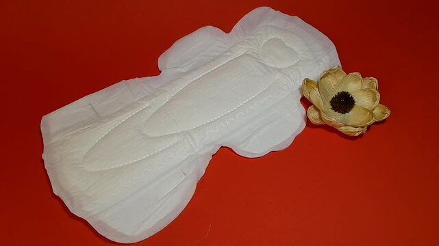 Sanitary napkin and flower. A concept that shows softness for the feminine area, is able to accommodate large amounts of blood and still keeps the feminine area dry, isolated on red background.