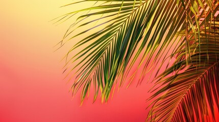 Vivid palm tree branch on contrasting backdrop with space for text