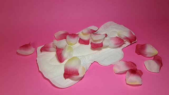 Sanitary napkin and flower petals. A concept that shows softness for the feminine area, is able to accommodate large amounts of blood and still keeps the feminine area dry, isolated on pink background