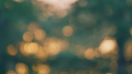 Defocused Scene. Natural Blurred Background. Sun Light Shine Through Green Tree In Morning Day. Blur.