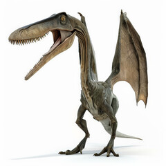 Fototapeta premium A majestic Pterodaustro with its unique jaw and small teeth, appearing ready to fish, isolated on white background.
