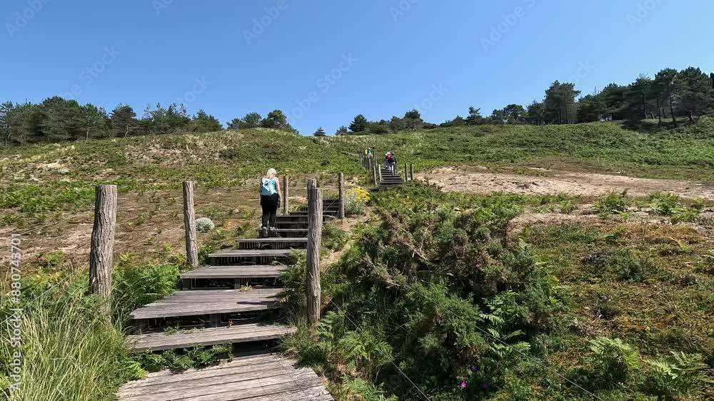 Canvas Prints Randonneurs seniors sur le GR34 au niveau du Cap d'Erquy en Bretagne - France