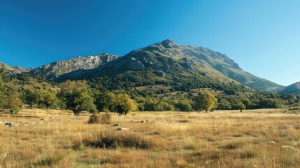 Scenic Mountain Terrain and Clear Blue Sky