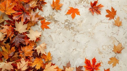 Vibrant fall maple leaves on neutral backdrop Seasonal theme thanksgiving idea Artistic arrangement from above empty area