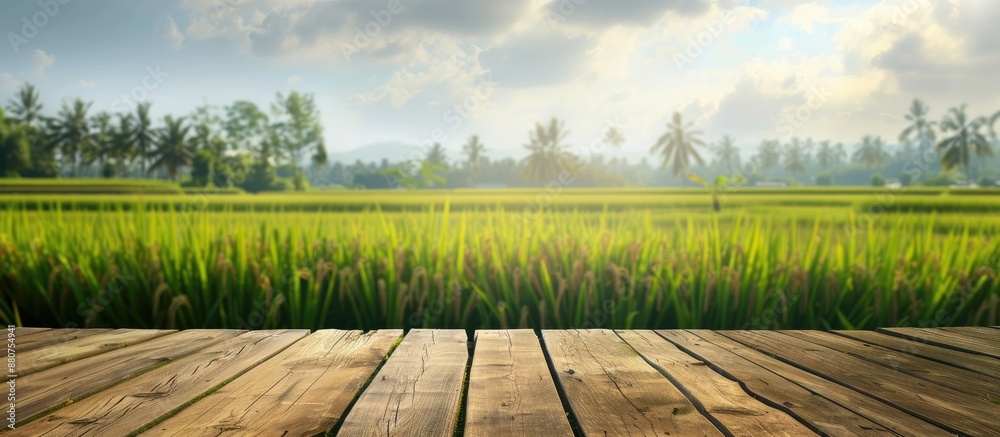 Poster daytime view with a wooden table top set against a blurred rice field backdrop ideal for product dis