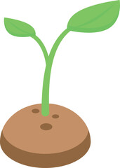 Small plant with green leaves is growing from the brown ground