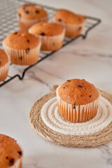 tasty vanilla muffin with chocolate chips, isolated with more cupcakes on black grill on white marble background
