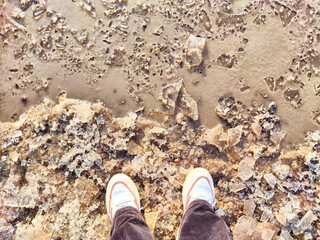 Fototapeta premium shoes on the beach