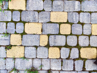 wall