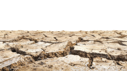 Desert-like cracked dry earth under clear skies
