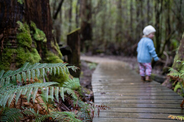 toddler hiking in the forest in winter wearing a beanie, walking on a trail in the australian bush. child exploring in nature and studying the environment and learning while exploring