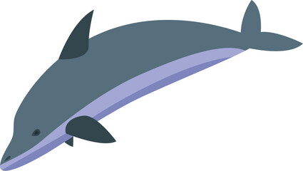 Minimalist illustration featuring a grey dolphin jumping out of the water