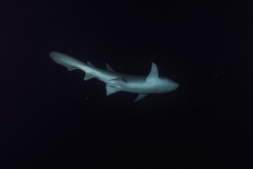 Maldives 2023