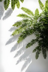 Obraz premium tree leaves 