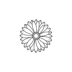 sunflower icon isolated on white background. sunflower icon thin line outline linear sunflower symbol for logo