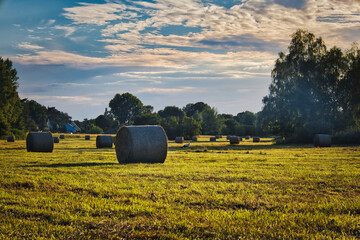 Heuballen - Heu - Stroh - field - harvest - summer - straw - farmland - blue cloudy sky - golden -...