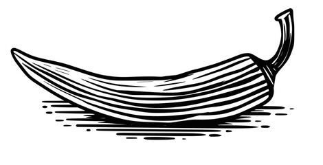 Pepper in hatching and woodcut style.