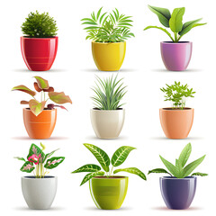 Obraz premium Set of indoor flower pots on a white background.