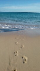footprints on the beach