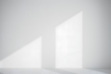 Abstract empty white and gray gradient soft light background of studio room for art work design.