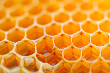 Close-up of honeycomb with golden hexagonal cells filled with fresh honey, highlighting structure and texture.