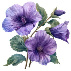 watercolor blooming purple malva flower branch with green leaves illustration