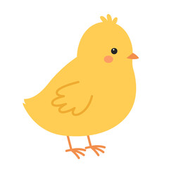 Little cute standing chick. Yellow baby chicken. Farm and livestock. Easter card. Vector flat iillustration isolated on white background