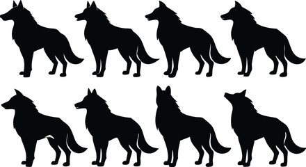 wolf silhouettes, Set of wolf black silhouette vector
