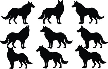 wolf silhouettes, Set of wolf black silhouette vector
