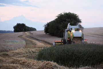 Agriculture Combine Harvester in Action Farming on a Wheat Grain Field With Harvest