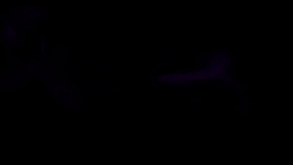 background with particles