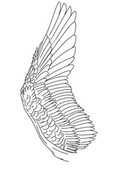 Linear outline drawing angel wings hand drawn clip art element pegasus wing bird parrot line art feathers owl eagle fairy coloring book page freedom creative concept wing contour tattoo logo 
