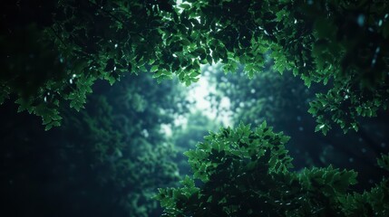 Fototapeta premium A supernatural scene unveils enchanted forests that absorb excess heat