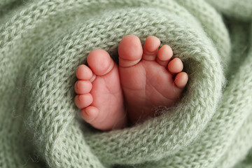 The tiny foot of a newborn. Soft feet of a newborn in a olive green woolen blanket. Close up of toes, heels and feet of a newborn baby. Studio Macro photography. Woman's happiness.